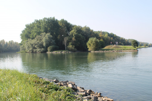 IMG_7399 IMG_7399
